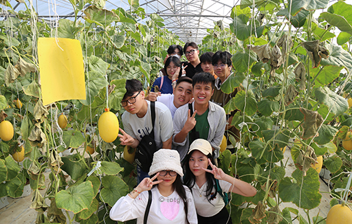 Một số hình ảnh chương trình trải nghiệm ngày thứ 3 của Đoàn 1 tại Hàm Thuận Nam - Năm học 2023 - 2024