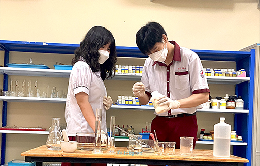 Nghiên cứu tách chiết và khảo sát thành phần Hóa học, Sinh học của tinh dầu Tía Tô