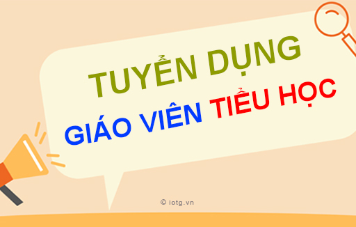 Tuyển dụng giáo viên Tiểu học năm 2023