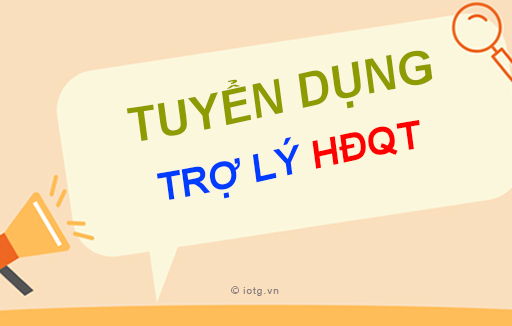 Tuyển dụng Trợ lý hội đồng quản trị năm 2024